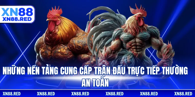 Những nền tảng cung cấp trận đấu trực tiếp thường an toàn